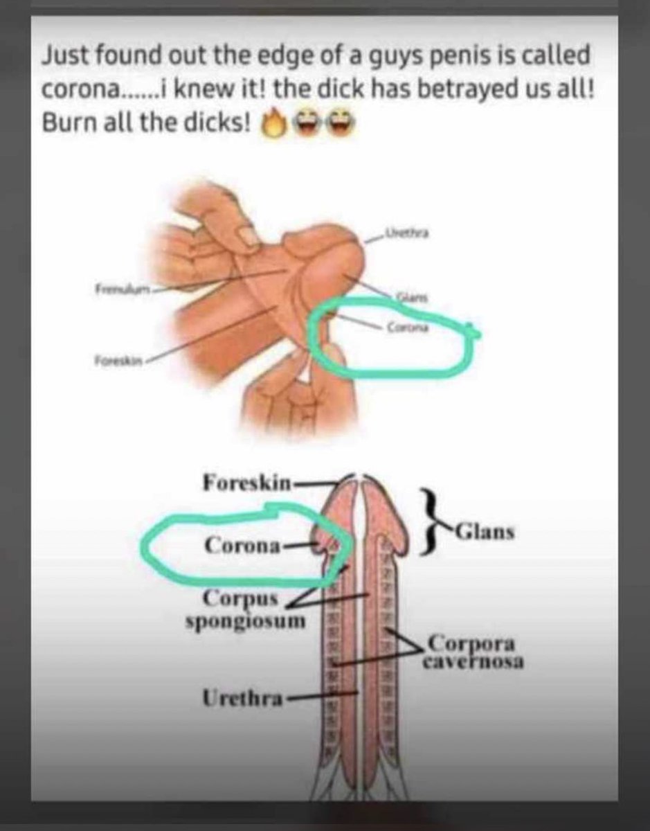 Haadaybayour's tweet photo. The Dick Had Betrayed Us All !!! ๐๐ปโโ๏ธ๐๐ปโโ๏ธ๐๐ปโโ๏ธ
#NoDeyCopyWizkidFc
#StaySafeWithZenith https://t.co/fVyfXW8NDb