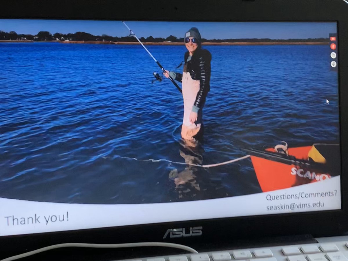 annieropp's tweet photo. Labmate, Sam Askin, gave a great talk on the population structure of the channeled whelk along the US East Coast! @JMcDowell_Lab @AmFisheriesSoc @AFSvirtspring https://t.co/LjcUpP0VW7