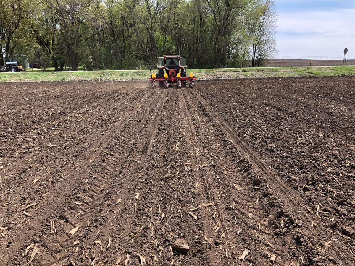 PahlsMarket's tweet photo. Planting our second batch of peas and our first round of green beans today.  #pahls #pahlsmarket #pahlfarms #pahlsplanted #pahlscsa https://t.co/NNcz98zjH0