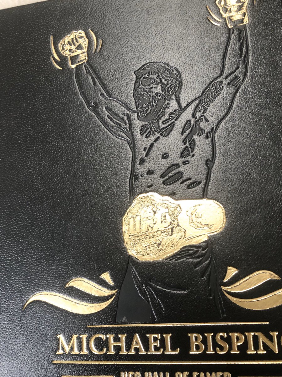 bindingrepairs's tweet image. Still tweaking this album.
Hand stitched guarded sections, split boards covered in smooth goat skin leather. Bespoke gold blocked motif and text.  Our Beyond albums are made to order.

#beyondalbums #sycamorebookbinding #bookbinding #ufc