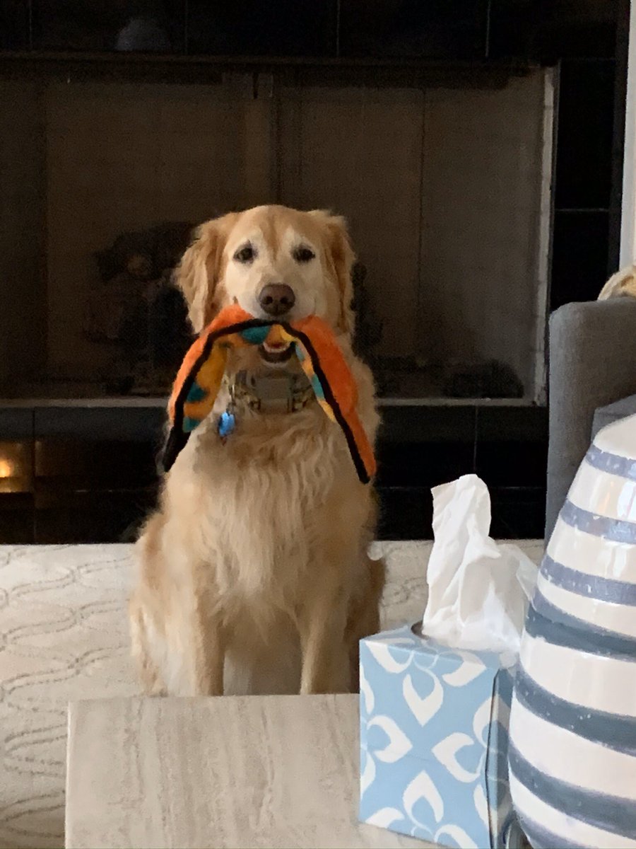 Kim Wilson tweet media