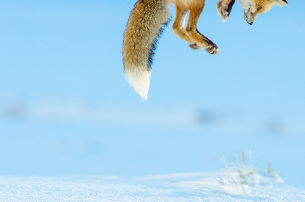 Datacolor Spyder tweet media