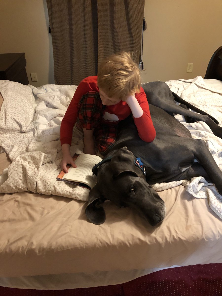 WarrenClass's tweet photo. Adam is reading Harry Potter to his dog, Bacchus.  I think Bacchus is enjoying time in a good book today.😊Way to go, Adam! #readersareleaders #thinkleadsucceed #alcontinueslearning @CISWildcats https://t.co/W9jVeTiXVW