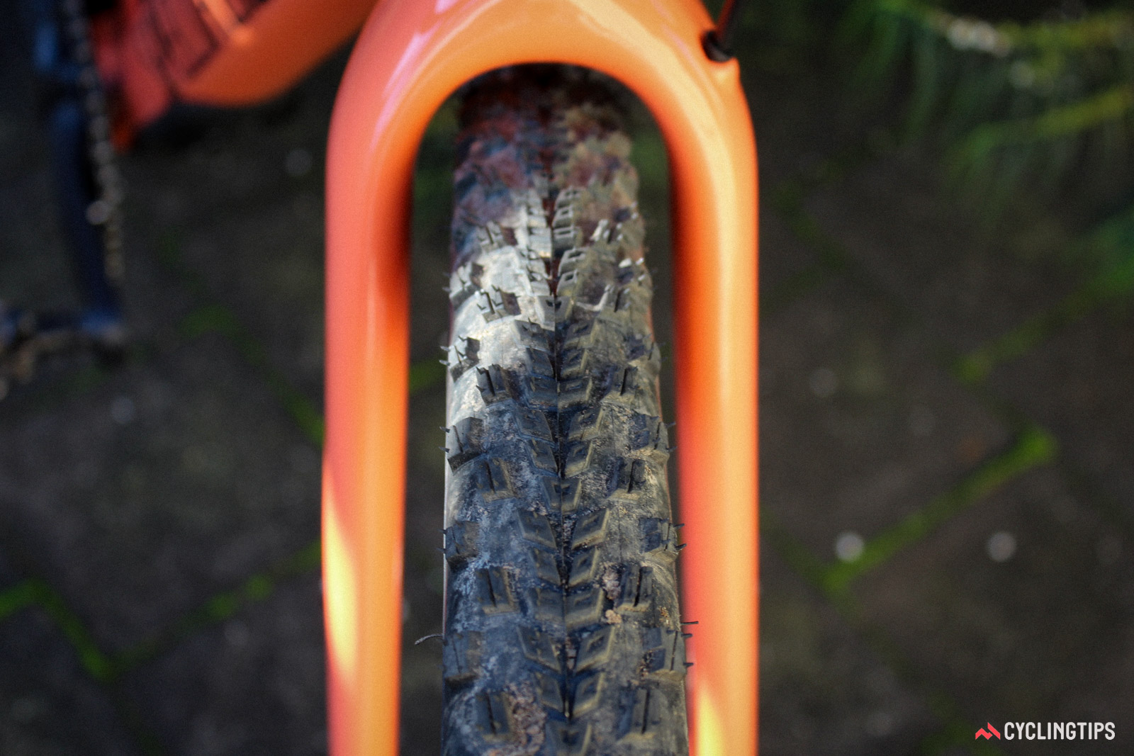 Specialized rhombus 2025 pro
