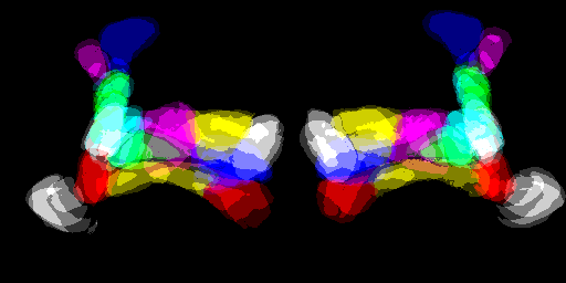 Ilona Grunwald Kadow (@ikadow) on Twitter photo A few years and a great collaboration with the Portugues lab @mpiNeuro <a href="/TU_Muenchen/">TU München</a> later, this is finally out and we are happy. Valence and State-Dependent Population Coding in Dopaminergic Neurons in the Fly Mushroom Body cell.com/current-biolog… A few years and a great collaboration with the Portugues lab @mpiNeuro <a href="/TU_Muenchen/">TU München</a> later, this is finally out and we are happy. Valence and State-Dependent Population Coding in Dopaminergic Neurons in the Fly Mushroom Body cell.com/current-biolog…
