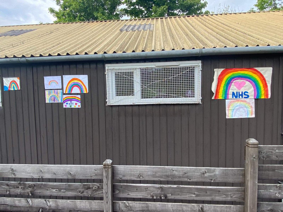 Ninth Glasgow Scout Group tweet media