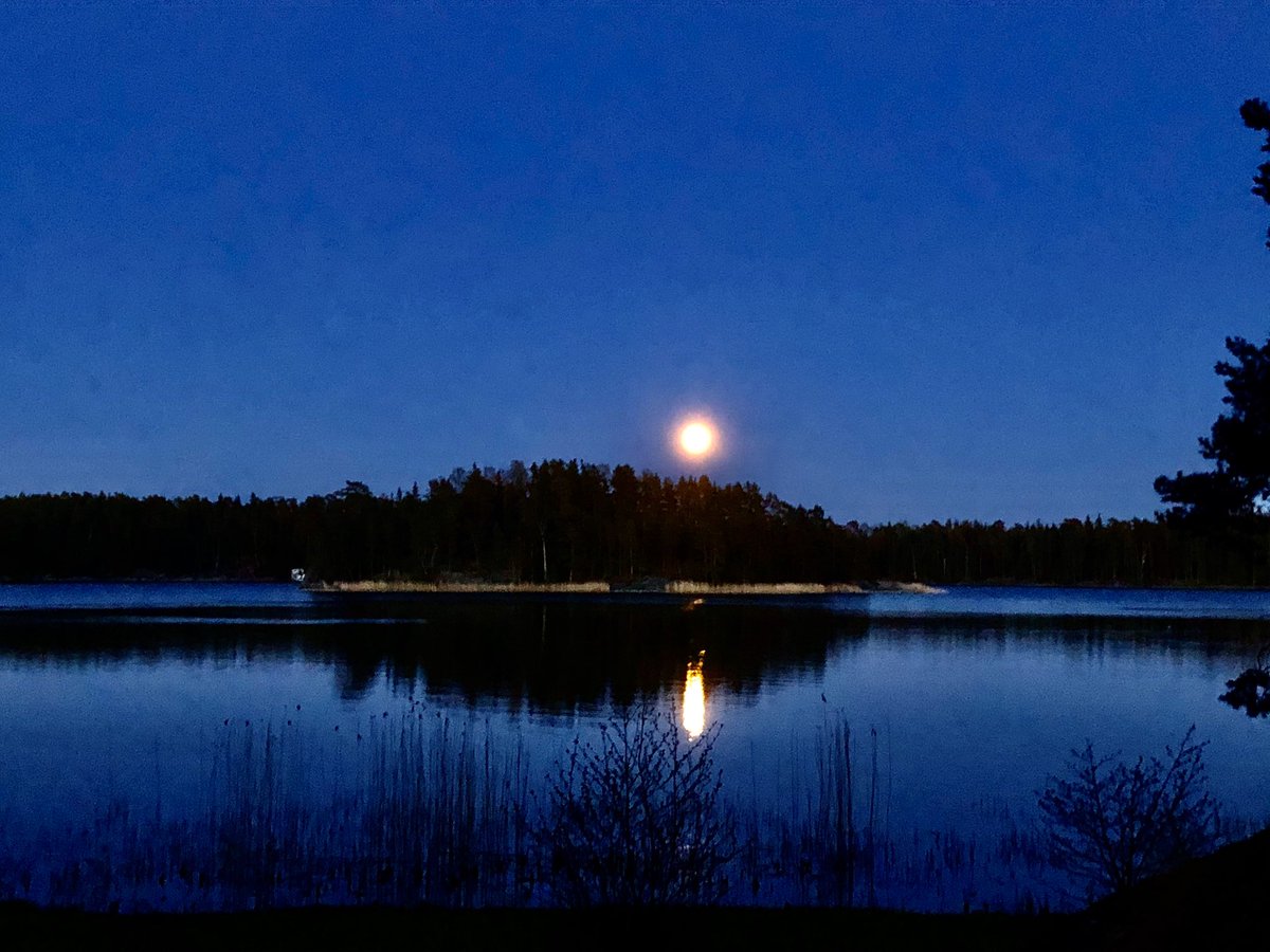 OutiHelenius's tweet photo. #mökillä #omaranta #kuunsilta https://t.co/MaVmwW0DDf