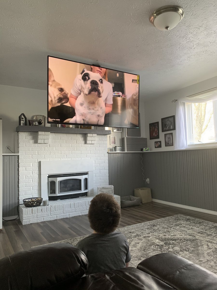Julsk41's tweet photo. As a surprise for my students I had Walter Geoffrey ( an Instagram famous frenchie) join my class google meet! His owner Amber was amazing with the kids and sent a bunch of free merchandise for me to mail them. This brought smiles to my kiddos faces. @GCSDsuper @Englishvillage2 https://t.co/7VUjzGGpRQ