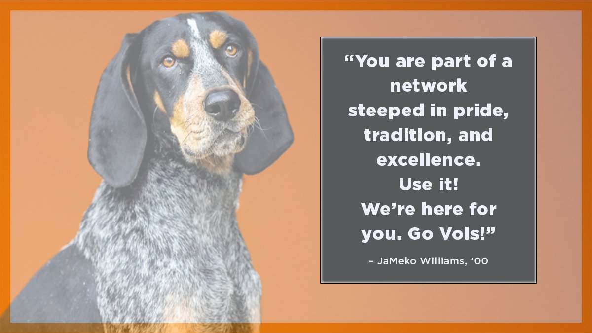 tennalum's tweet image. The Vol family is so proud of our newest alums! 🍊

Check out more big orange congrats and advice from #utkalumni welcoming #UTGrad2020 to the @tennalum family: bit.ly/3f8GjBS

#UTK #20for20 #VFL #GBO #ItsGreattobeaTennesseeVol