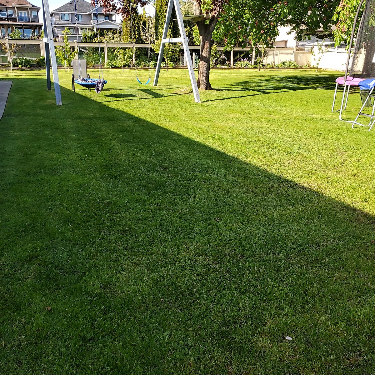 RajuSinngh's tweet photo. Another great job by @DarshanAndSons. Highly recommend for anyone needing landscaping and pressure washing.
#LetSomeoneElseDoit https://t.co/Ak4VW0tvDw