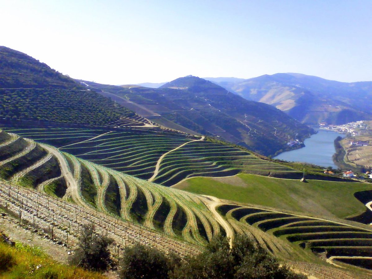 GoldenVisaPtEU's tweet photo. Properties available along the beautiful Douro Valley
Come and sample some of the best wine in Portugal
https://t.co/WTeFWF0kYD #GoldenVisa
#propertyfinder #realestateinvesting #goldenvisaportugal https://t.co/Tx9mSEXQ6A