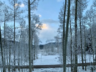 I hope you'll find a moment to ck out my newsletter! #travelmemoir, #armchairtravel, #ATouroftheHeart, #resilience, #rebirthandrenewal, #COVIDstories, #inspirationalstories, #travelstories, #cancerjourney, #telluride, #colorado, #uchealthdenver conta.cc/2y6uLi3