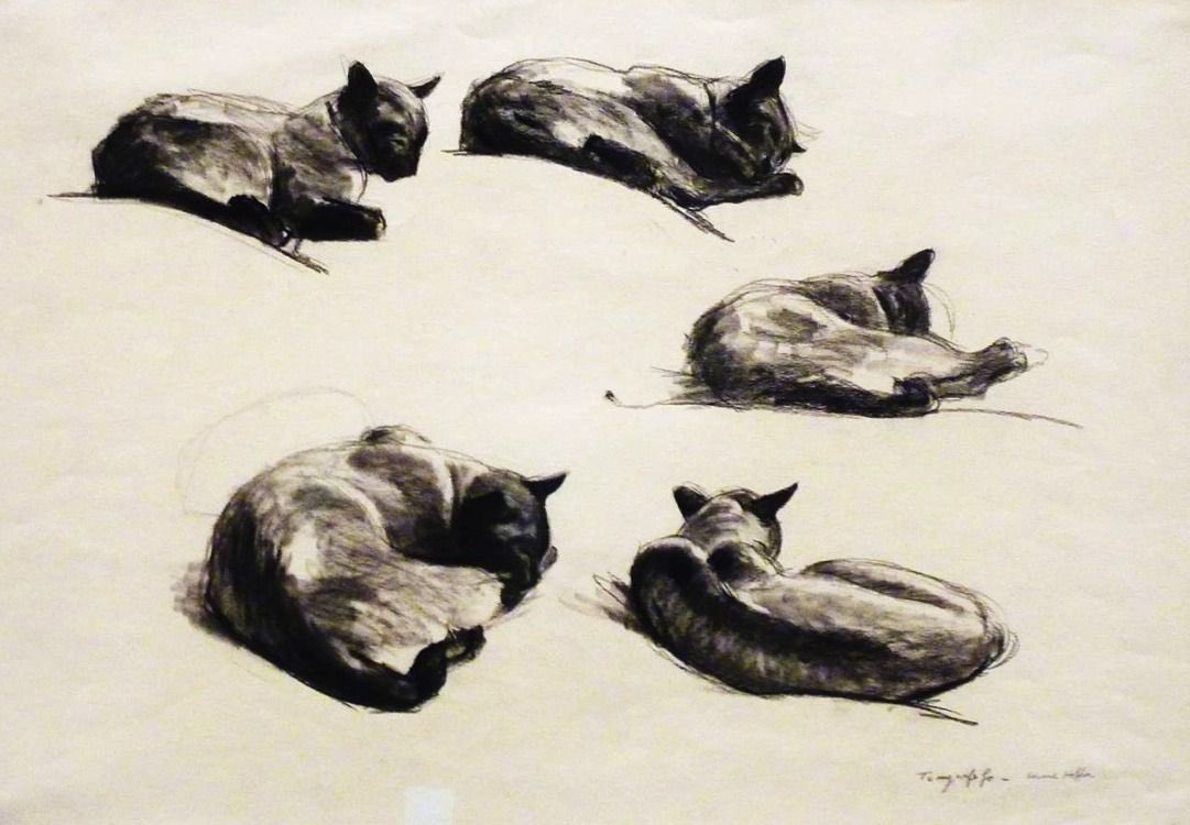 ddoniolvalcroze's tweet photo. Edward Hopper, Studies of cats,1941 https://t.co/B4RJjLUDNi
