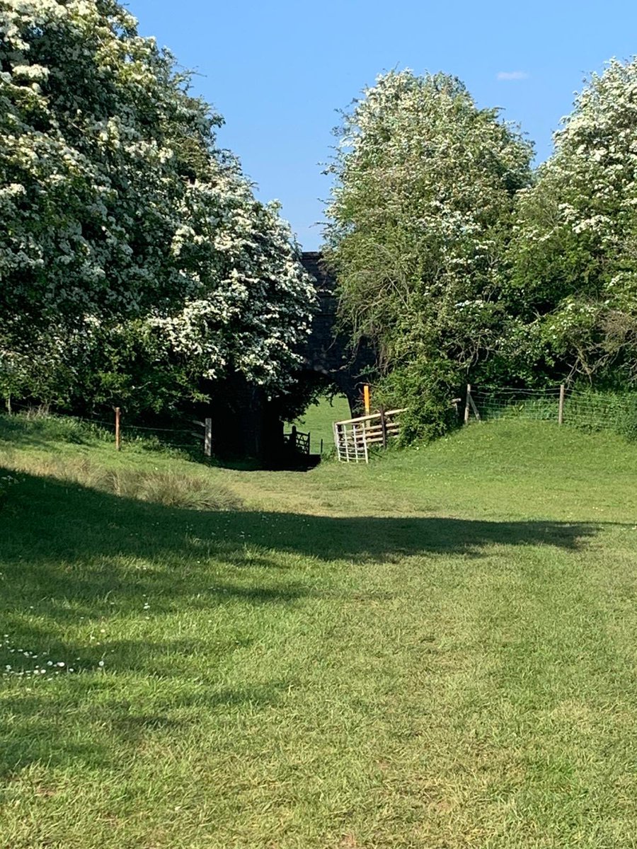 amyclarke1978's tweet photo. Kids and I loved our mini hike today. Loved getting my feet wet also helping making memories with my kids #countryside #walk #lockdownmemories #embracethetime https://t.co/dVCbzPtfh3