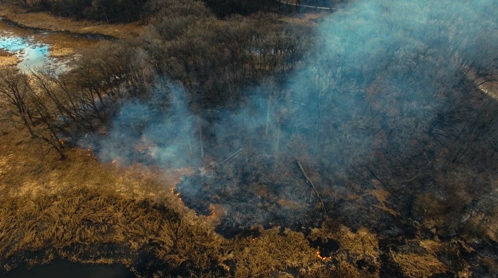 REDDGuatemala's tweet photo. [HILO] 🔴 En #Guatemala los incendios forestales están considerados como una de las principales causas de la deforestación y degradación de los bosques. Por es razón, es importante contar con herramientas que nos permitan ampliar el monitoreo y prevención. https://t.co/Ve1PVFhMR9