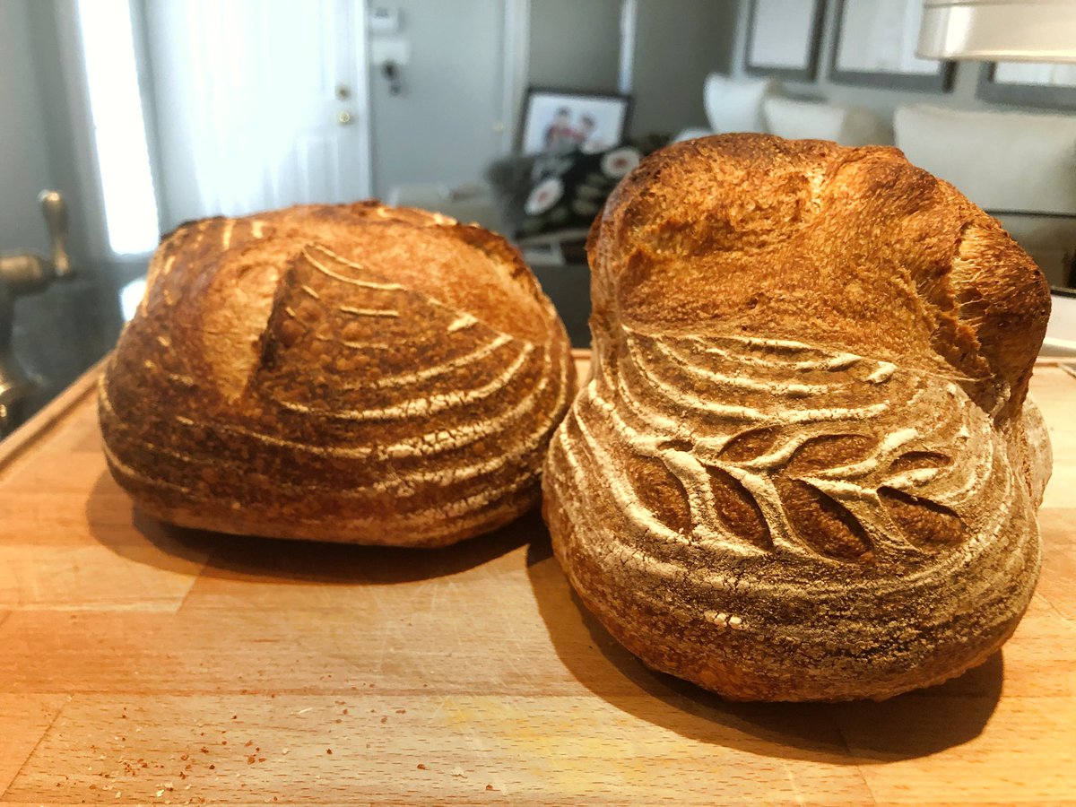 debbeeee's tweet image. Bake #7: WHAT MONSTROSITY HAVE I CREATED!? 🧟‍♂️🧟‍♂️🧟‍♂️ 
Guess this is what happen when you leave it proofing overnight unsealed. Oops 😬 
(20 bread flour: 20 whole wheat: 60 all purpose flour, 80% hydration.)
#sourdoughbread
#selfisolationbaking
#twostepsforwardonestepback