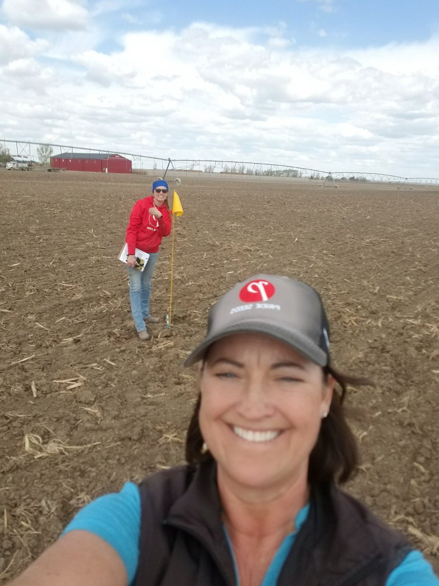 Page__Newton's tweet photo. @PRIDESEEDS @canterraseeds #silage #corn trial going in today! Thx #supercooperator Ryan van Hal & team!!!! @SthCntryCoop @JensenReagan #WestCdnAg @meidlinger09 https://t.co/Ykx8R8tHy2