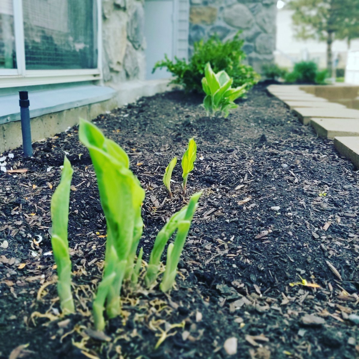CoyCompositions's tweet photo. Remember there are different phases of growth. It doesn't matter what phase you are in or how much you've grown compared to others. What matters is that you are trying - your effort is worth it because you are worth it.❤️ https://t.co/WSqotipGbu