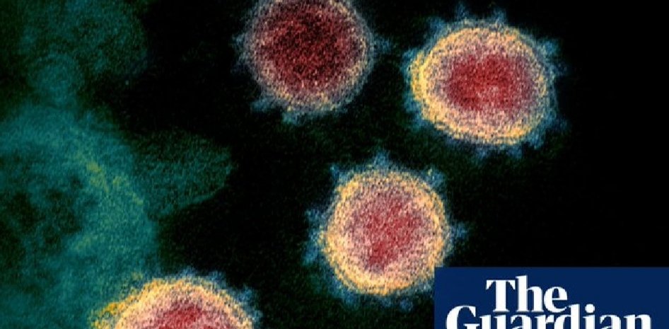 1- İtalyan araştırmacıların Fare antikorlarından geliştirdiği aşı, koronavirüsü etkisiz hale getirdi. 
2- Ten rengi koyukaltıkca  Covid-19'dan ölme olasılığı 4 Kat artıyor. 
<a href="/guardian/">The Guardian</a>