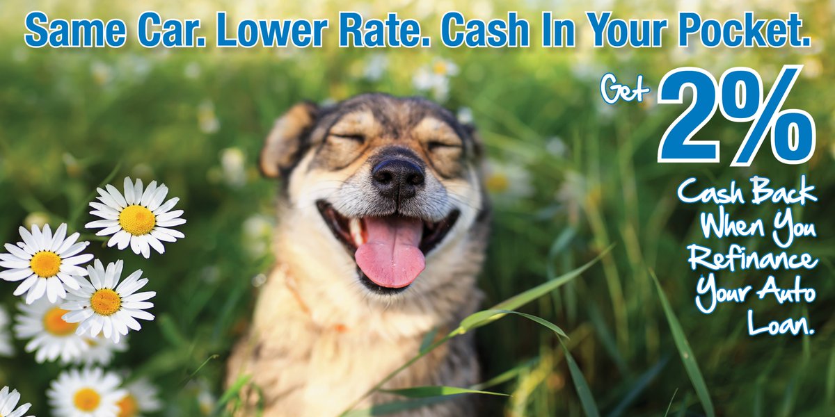 Have an auto loan with another lender? Take a few minutes and apply online to transfer it to us and get up to an extra $1,000 cash. It’s that simple. For all details and to apply, visit: bit.ly/CCUCashBackFor…
#ChampionCU #BankingSimplified