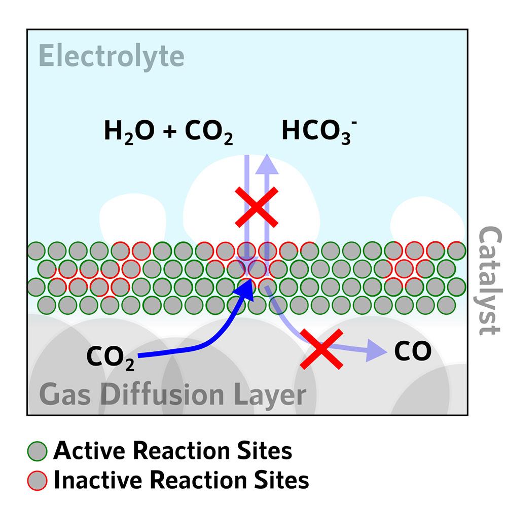 iScience journal (@iscience_cp) on Twitter photo Bazylak and co-workers <a href="/UofTMIE/">uoftmie</a> use x-ray imaging to monitor bubble formation during CO2 electroreduction. This paper is first in the #Electrosynthesis special issue, guest edited by <a href="/SmithElectroLab/">Wilson Smith</a> and <a href="/lnce_epfl/">Raffaella Buonsanti</a>. Stay tuned!
bit.ly/3fwdLST Editor: <a href="/michmuzz/">Michelle Muzzio</a> Bazylak and co-workers <a href="/UofTMIE/">uoftmie</a> use x-ray imaging to monitor bubble formation during CO2 electroreduction. This paper is first in the #Electrosynthesis special issue, guest edited by <a href="/SmithElectroLab/">Wilson Smith</a> and <a href="/lnce_epfl/">Raffaella Buonsanti</a>. Stay tuned!
bit.ly/3fwdLST Editor: <a href="/michmuzz/">Michelle Muzzio</a>