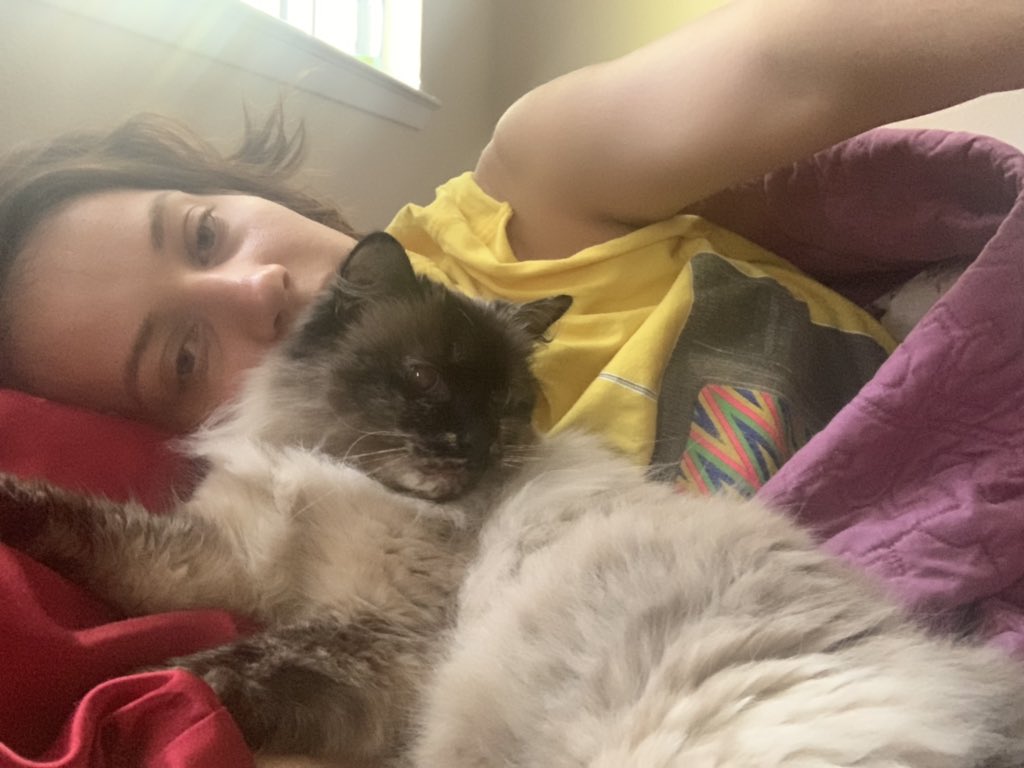 sarahoftherings's tweet photo. It’s Sacramento’s Big Day of Giving, and Fatima is participating by giving some cuddles
#sacramento #BIGDAYOFGIVING #cats #kittycuddle #morning https://t.co/DbSYKhYQxS