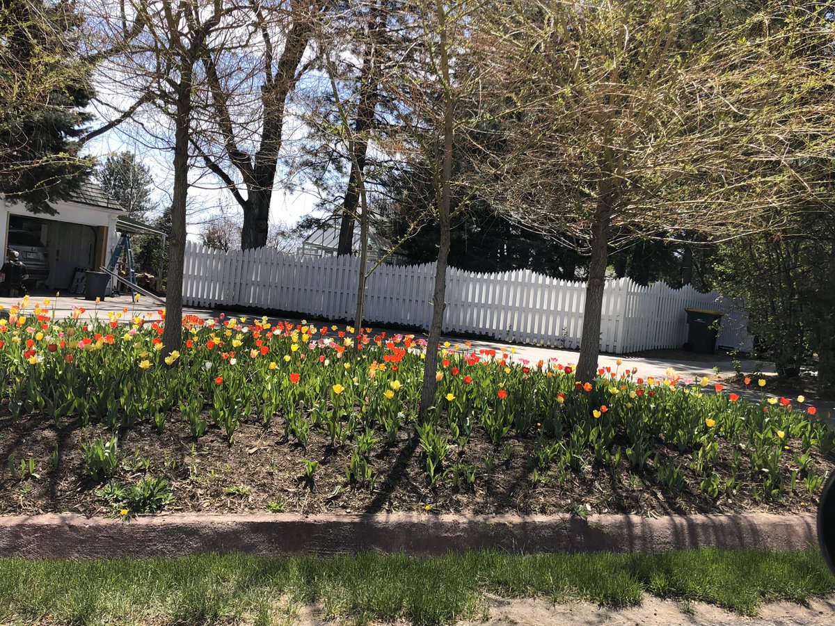 Spring has sprung in Colorado!