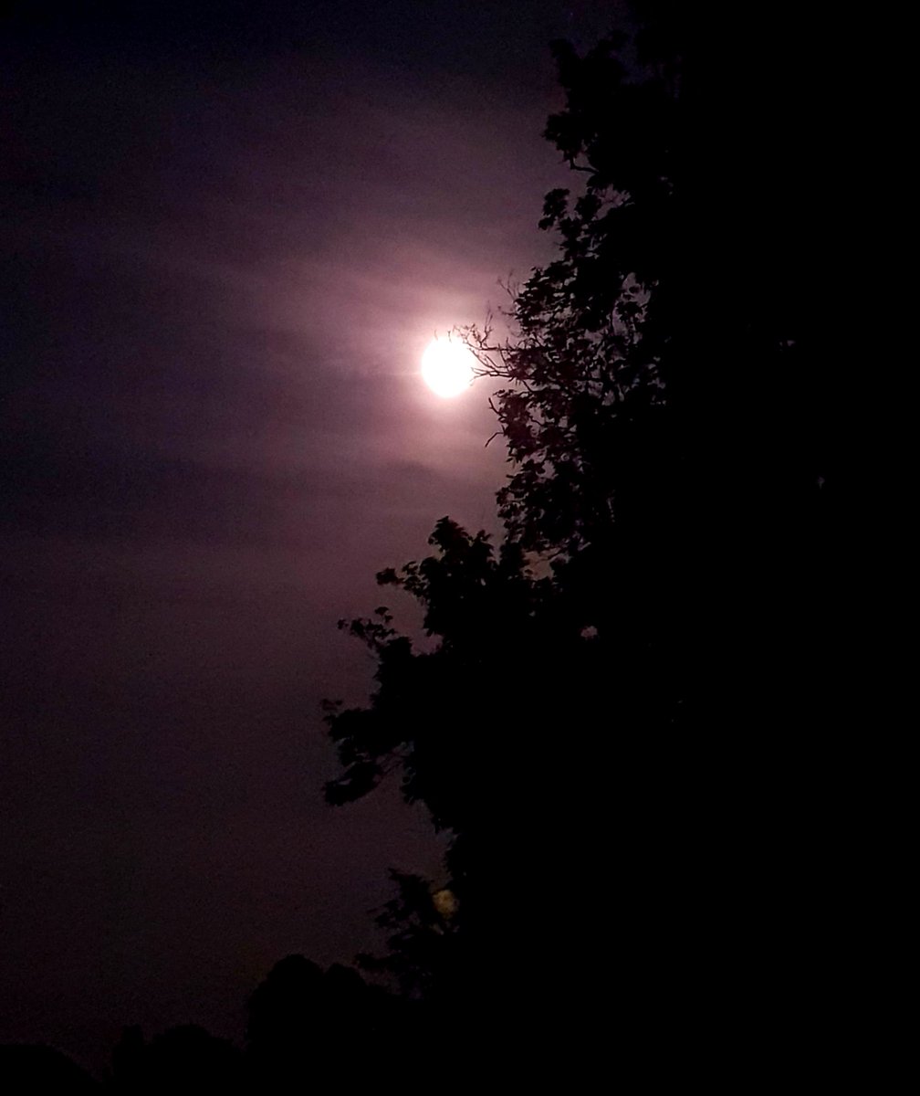 DrAmritaKumar's tweet photo. "Root for the moon. Even if you miss you land among the stars" 💙
#supermoon #FlowerMoon #pinkmoon2020 https://t.co/ThTXWk2VeV