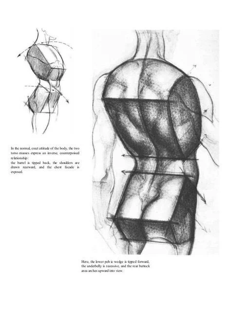 Btw i learned how to draw anatomy (still not very good but if I studied more I'd be better) with references of burne hogarthe. Very talented and very good understanding of anatomy and the human figure if ur interested ? 
