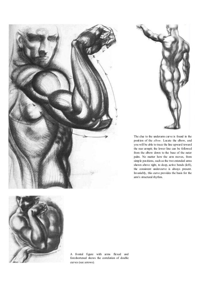 Btw i learned how to draw anatomy (still not very good but if I studied more I'd be better) with references of burne hogarthe. Very talented and very good understanding of anatomy and the human figure if ur interested ?