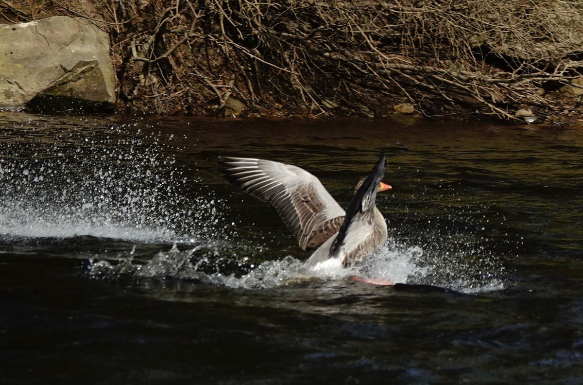 Lovely photo from Gerry, one of our guests while out on a local walk this week