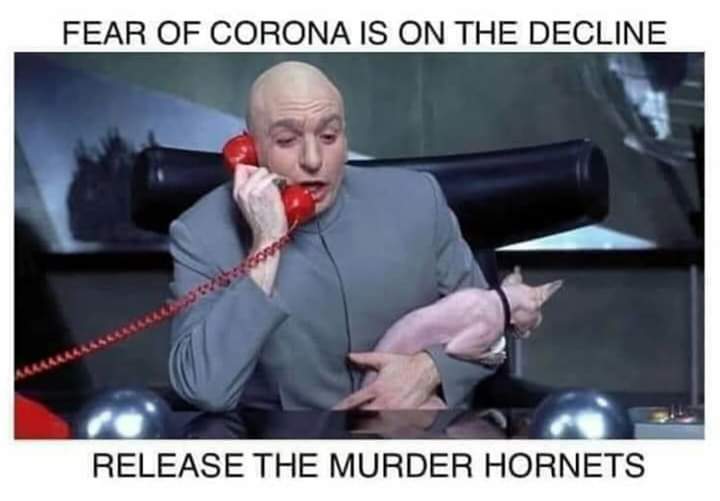 DKDinerWC's tweet photo. Some Thursday humor. Hope everyone is doing okay!
#day53 #dkdinerwc #thursday #hungry #humor #missyou #westchesterpa #diner #iconicdiner #supportlocal #bacon #thebreakfastplace https://t.co/T1TRtmjaxF