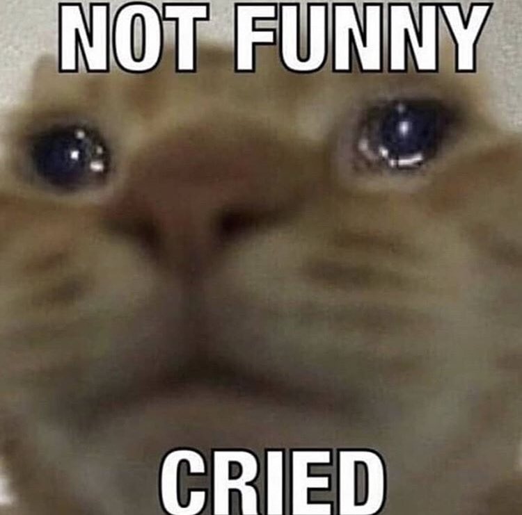 ririzkw's tweet photo. Describe yourself ONLY using pictures you have. You CANNOT search for or download new pictures. https://t.co/0YTvQ3KXT4