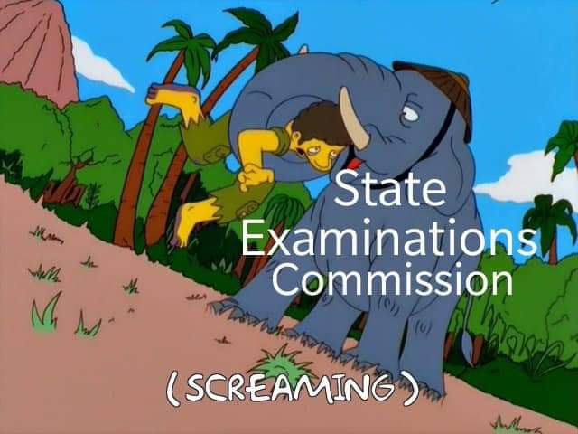 iresimpsonsfans's tweet photo. #TBT to the 2010 Leaving Cert https://t.co/ctk9IkU4Le