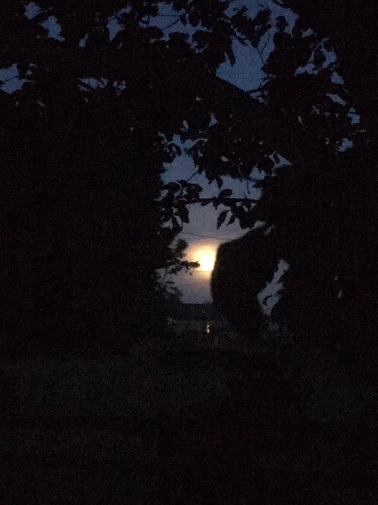 Maevemc's tweet photo. Super moon rising 🌝 and some aeroplane trails ✈️✈️ https://t.co/stpXcBBpKB