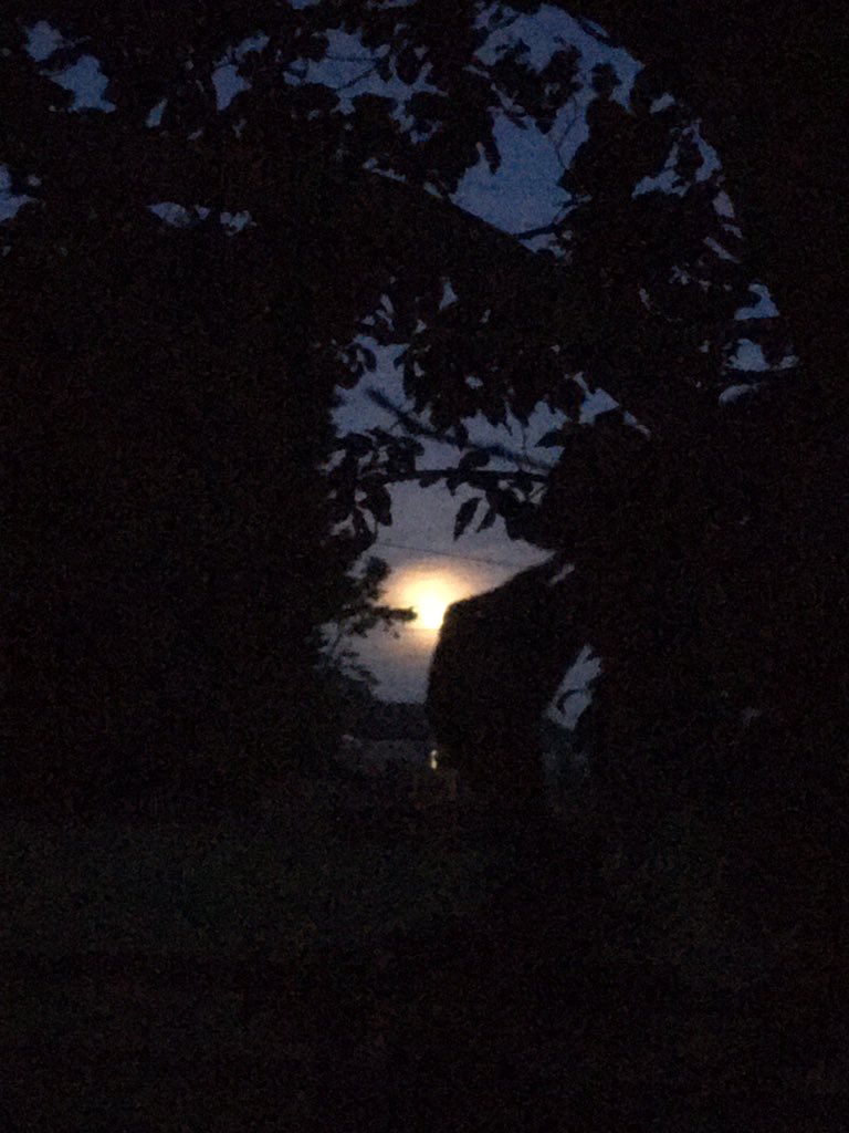Maevemc's tweet photo. Super moon rising 🌝 and some aeroplane trails ✈️✈️ https://t.co/stpXcBBpKB