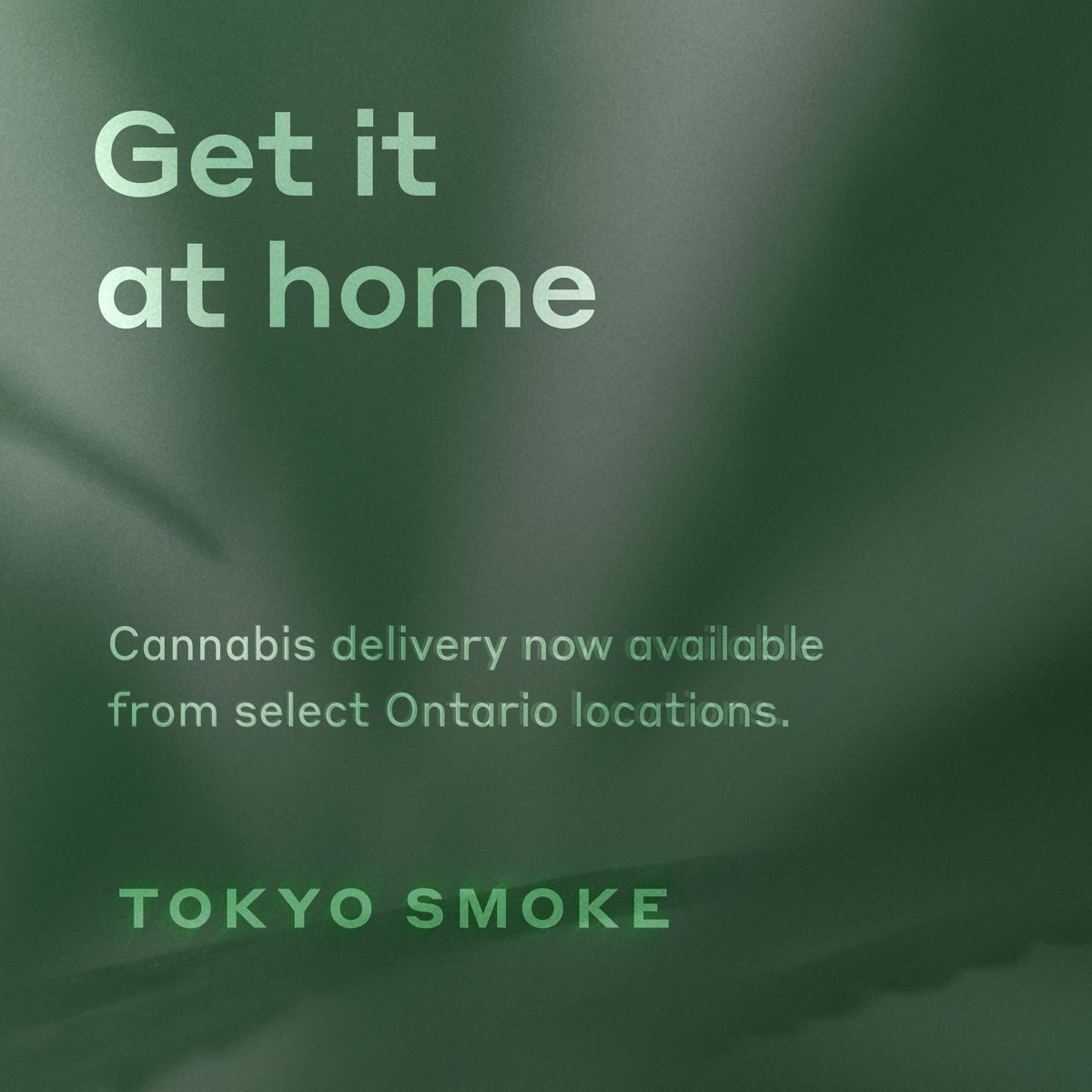 tokyo_smoke's tweet photo. Good news Ontario, cannabis delivery is now available at select Ontario locations. Check out the steps and link below to get started. 

https://t.co/cqq2iMYLqx https://t.co/x5MU64abpH