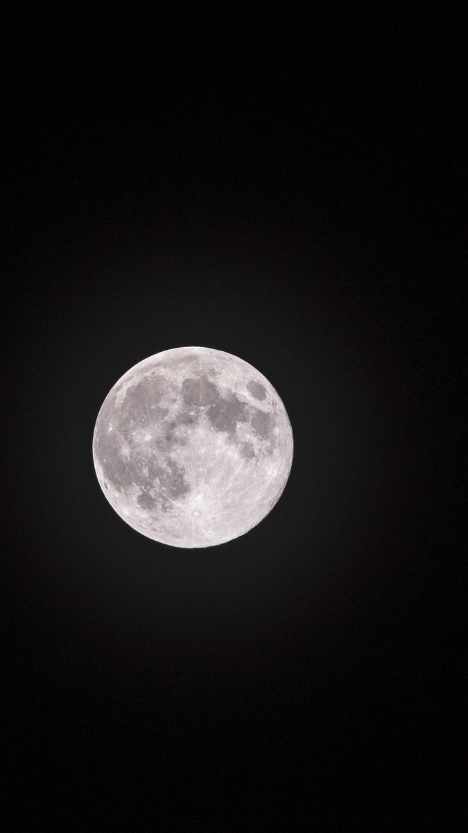 radenrauf's tweet photo. Nih gaes hasil foto bulan purnama semalem, foto kedua itu pake multiple exposure, bulannya gua taroh di atas pohon bambu.
Foto diambil 11.51 WIB

Iso400
f/9
1/340"
Lensa di 400mm
#supermoon https://t.co/tiYAwKBvzG