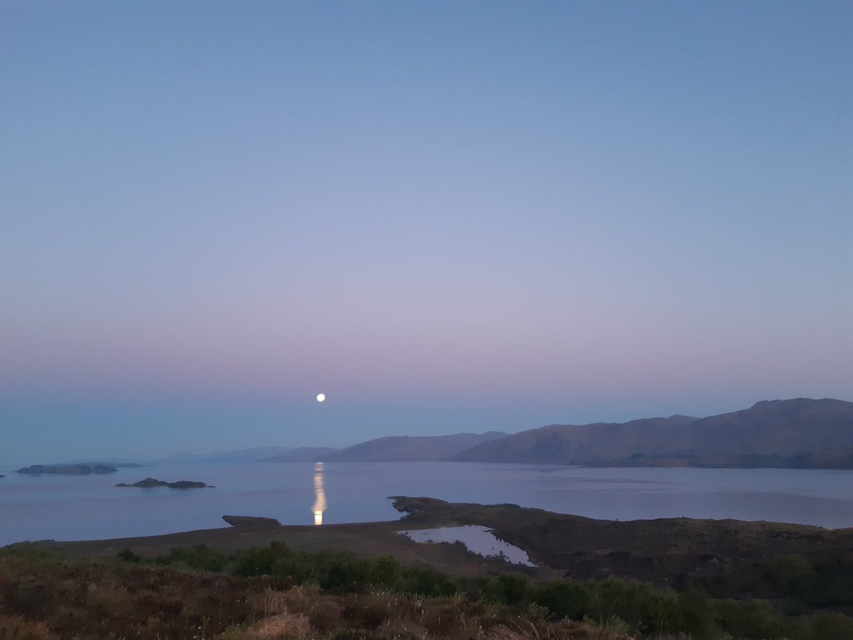 Dawn walk behind the house.  Super still and no midges yet! Moon looking giant.