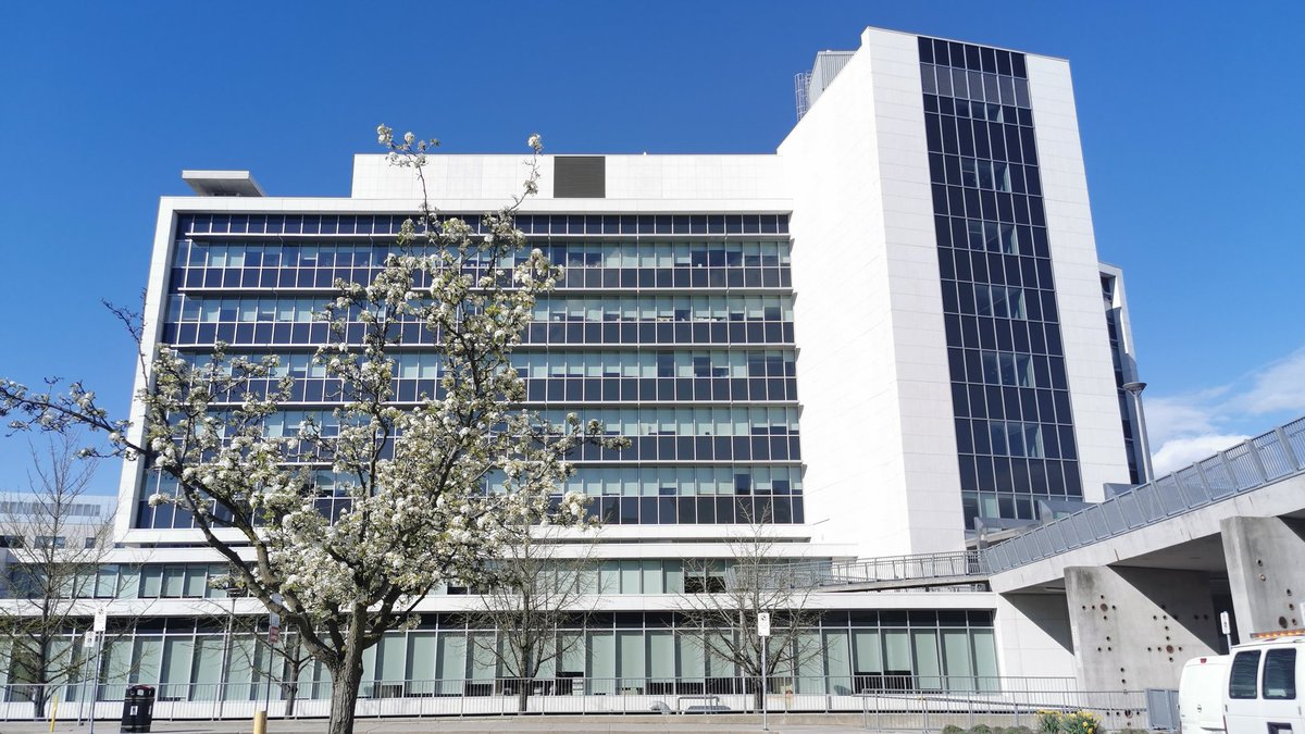 Main West closed at Bay just now. #Hamont