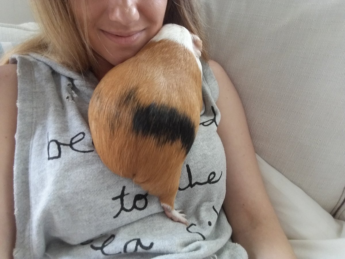 Thur 7 May (Day 38 working from home)I miss my little boy  Today's  #PigOfTheDay is a nice throwback picture of when he used to climb up for a cuddle with mummy!