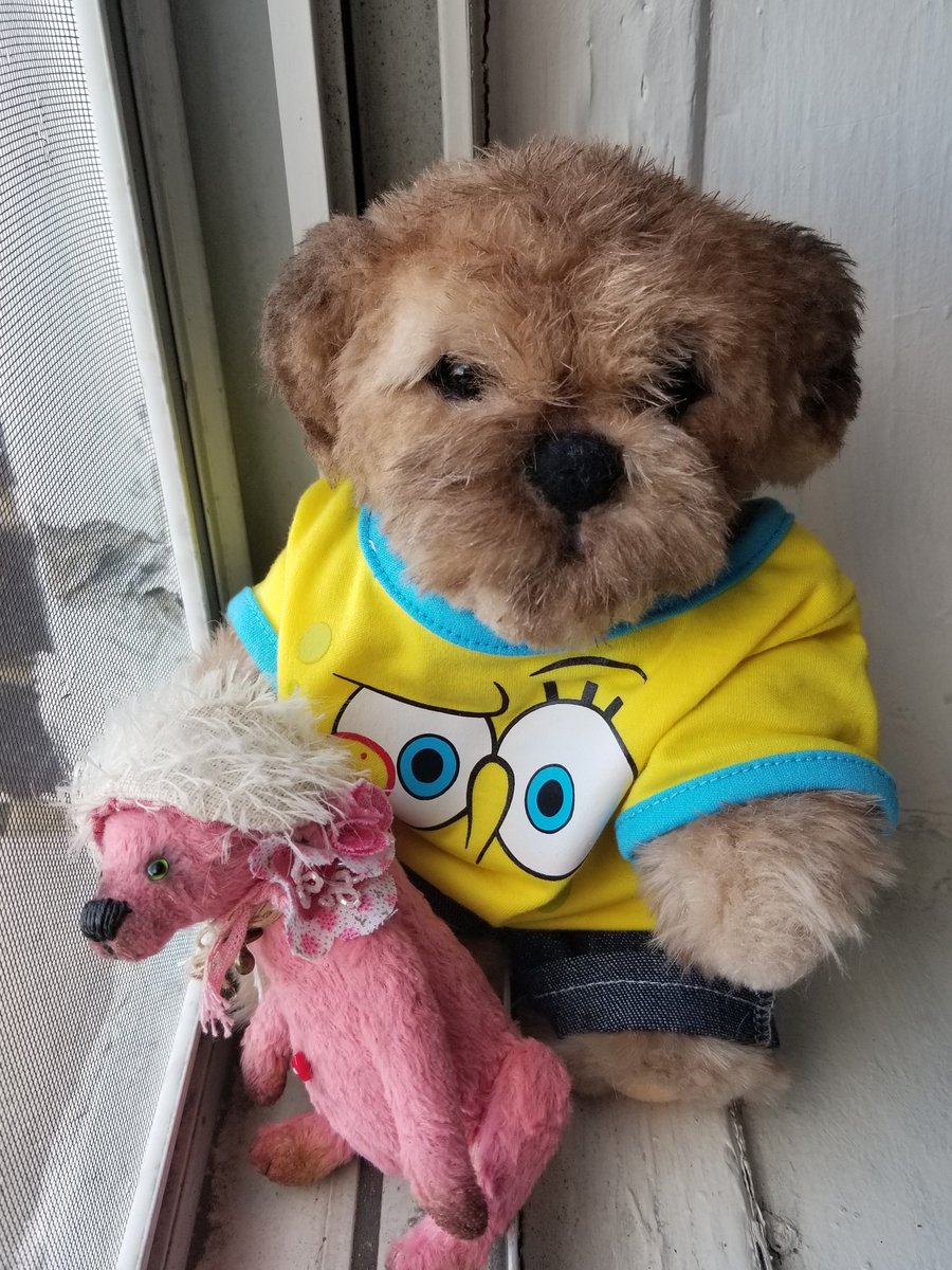 RustyFurr's tweet photo. Goodnight everyone. Once again it's time for this puppybear to go to sleep!! Sending love to everyone, and may you all be healthy! #ToddysHug #ButterbeanHug https://t.co/lIXRjvNGNN