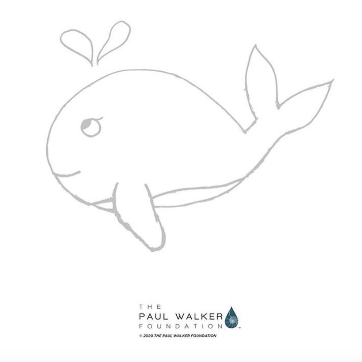 Paulwalkerfoundation Paulwalkerfdn Twitter