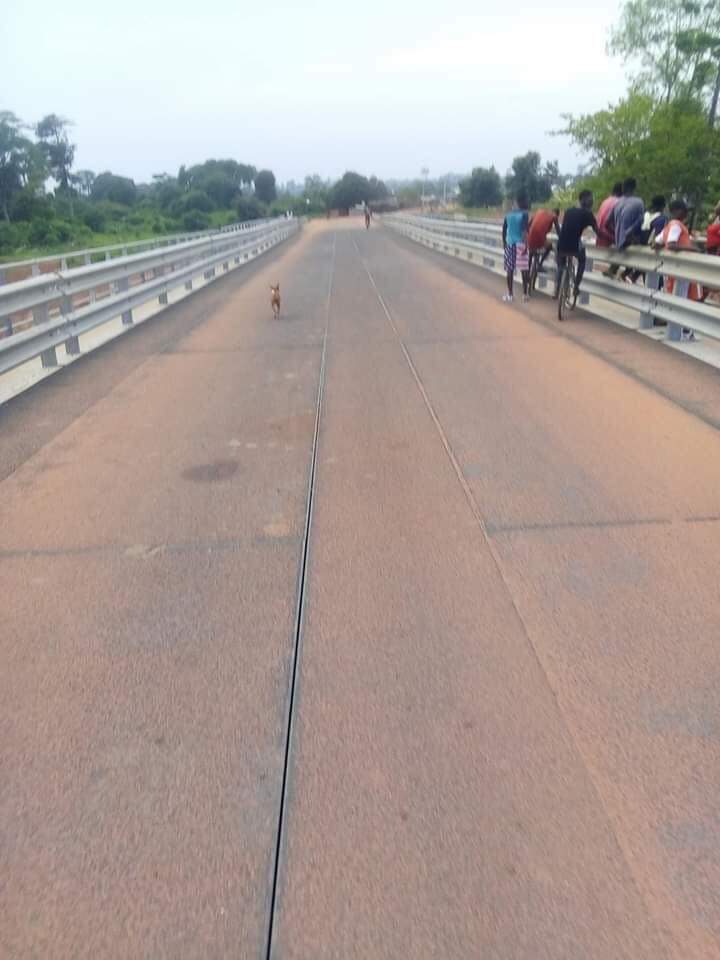 DRhdp's tweet photo. LE PONT DE #DOUAGUE EST OUVERT !
Débutés en Mai 2019, le pont de DOUAGUE est fini après une année de travaux intenses. Cet ouvrage financé par l'Etat de CIV, relie deux départements, #Kouibly et #Facobly par les sous préfectures de #Ouyably-Gnondrou et de #Semien.
#DRHDP🇨🇮 https://t.co/Mekb8j7gUQ