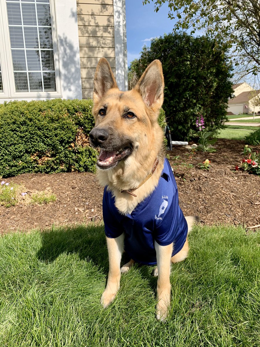 💙Support our fallen heroes 💙 

“Wear blue day” for our fallen law enforcement officers - May 8th! 

We hope this small gesture will allow all of the loved ones and friends to remember them for the heroes they are! 

We will never forget. 💙 #NationalPoliceWeek