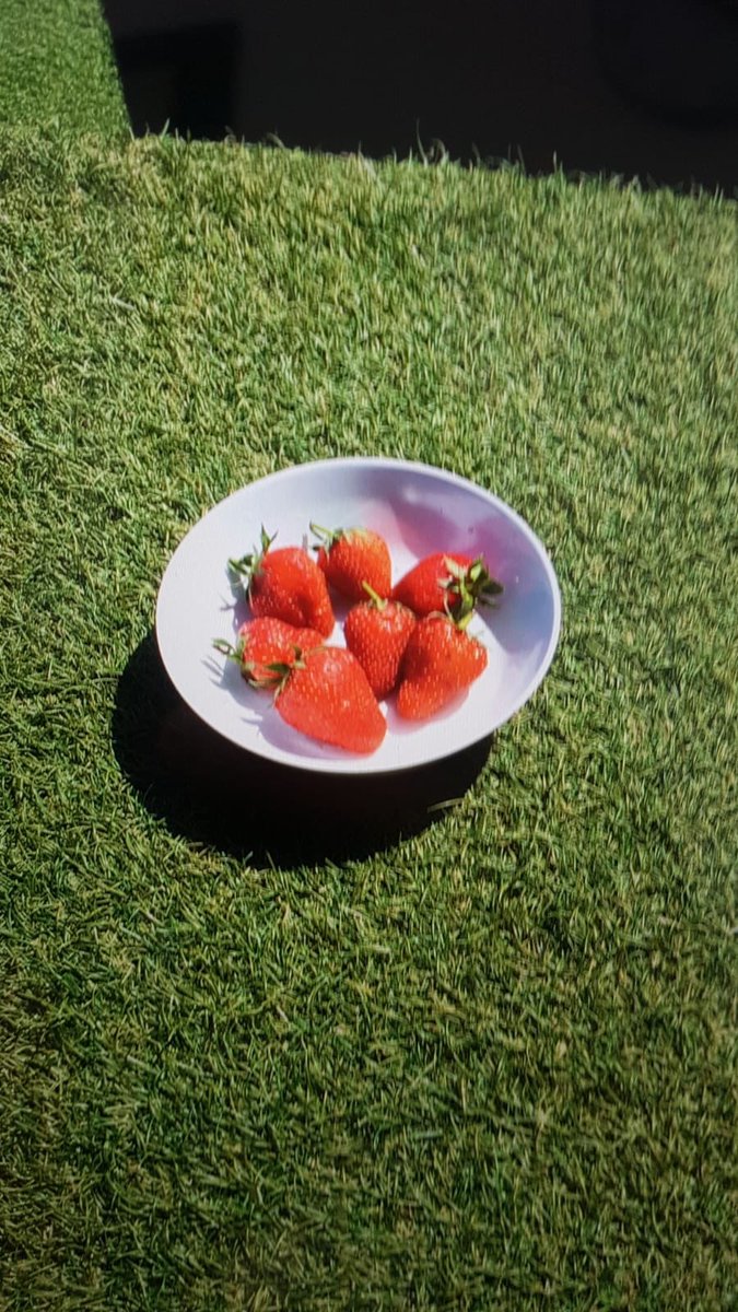 First strawberries from the Lindon Bennett garden and allotment. Hopefully there will be more fruit and veg when we all return for everyone to enjoy. #staysafe