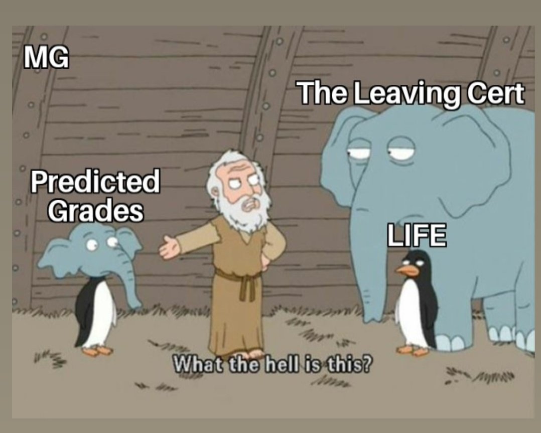 MattInc's tweet image. #cancelthelc #LeavingCert #memegame

I tell ya it won&apos;t stand to them....