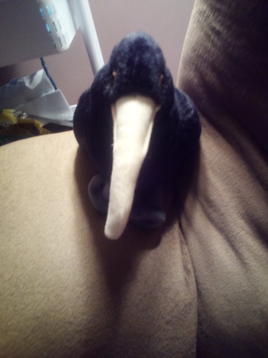 JBeppi's tweet image. Bird plush of SCP-049 💗