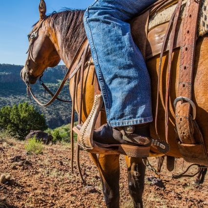 justinboots's tweet photo. On Sale Work Boot - Our 11" Bender boot in Brown is built to deliver outstanding comfort and performance throughout the toughest workday. Shop here: https://t.co/zNBcoGbTIQ #JustinWork #JustinBoots https://t.co/ei4GghDUVJ