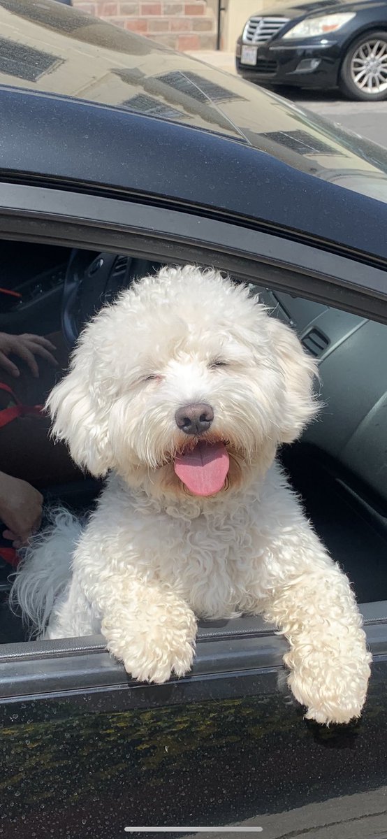vrodlove's tweet photo. I miss my fat boy 😭 https://t.co/QWVjzOV88k
